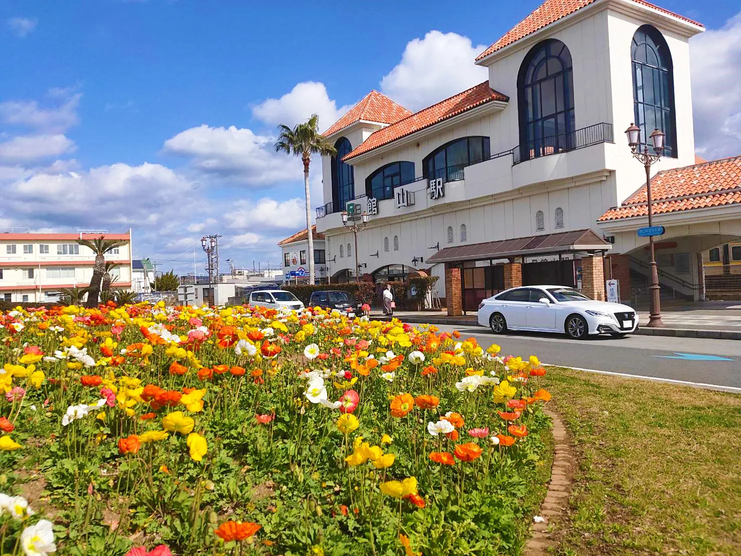 Tateyama Station and poppies